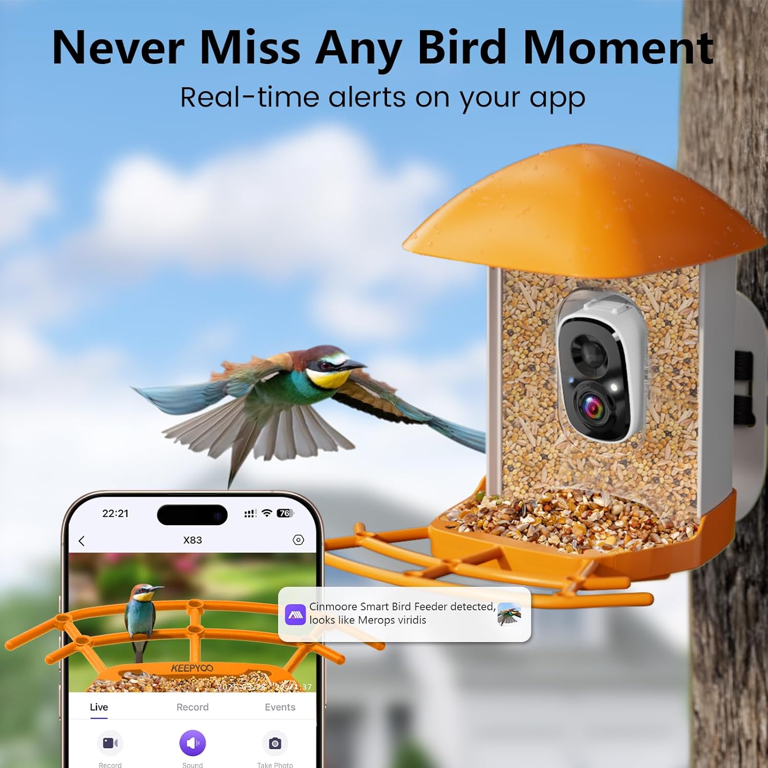Smart Bird Feeder with Camera for Outdoors Solar Powered, 2.5K HD Video, AI Bird Species Identification, Instant Arrival Alerts,Wireless 2.4Ghz WiFi,Include 32GB SD Card,Ideal Gift (Orange) - Image 5