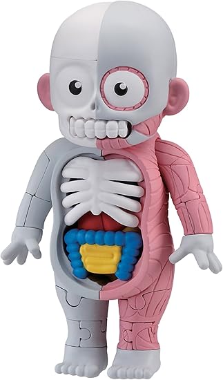 Amazon 放課後の怪談シリーズ 理科室の模型復元パズル 人体模型 生物 動物 人体 おもちゃ Amazon 放課後の怪談シリーズ 理科室の模型復元パズル 人体模型 生物 動物 人体 おもちゃ