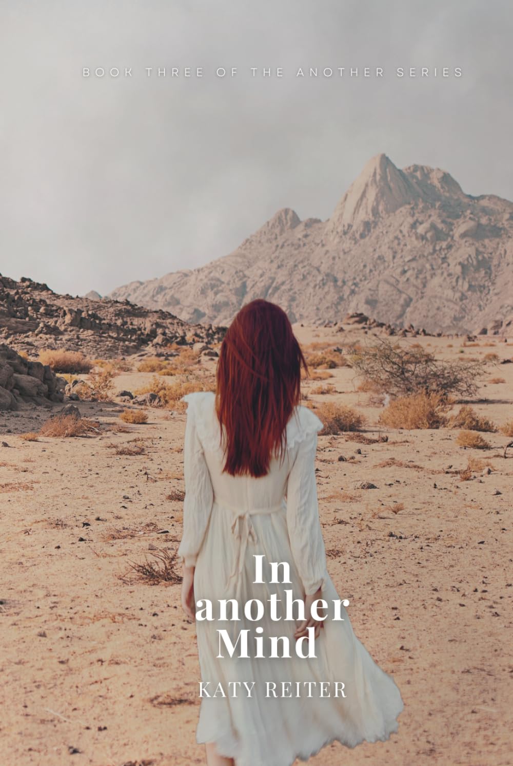 In another mind: Book Three of the Another Series