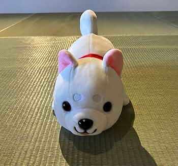 ハッピーまめしば 白柴ぬいぐるみ 2等 71EZilN0DXL._UF350,350_QL50_.jpg