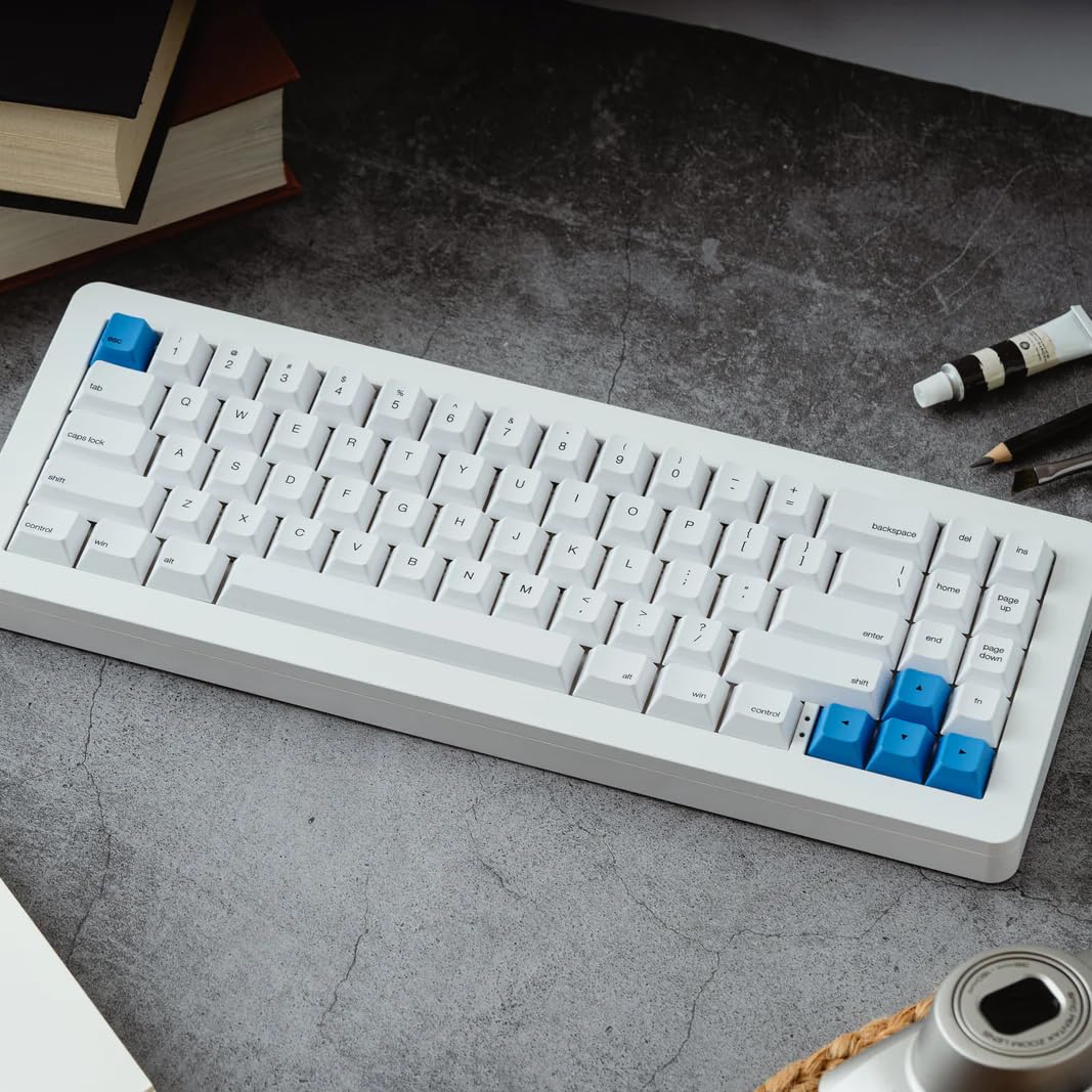 Amazon.com: Apos WhiteFox Eclipse Wireless Mechanical Keyboard,Two