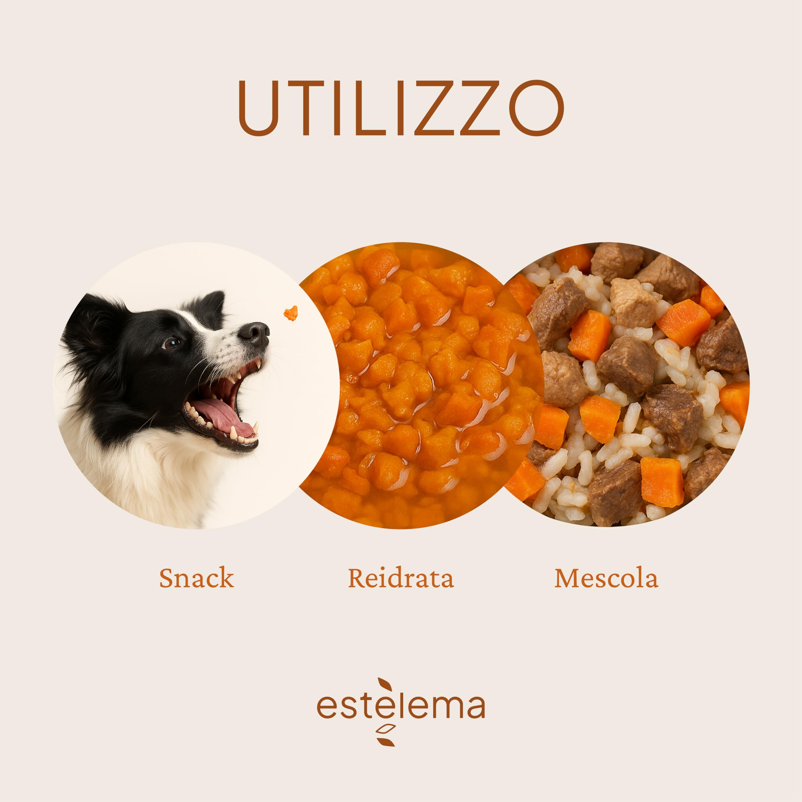 Carote Disidratate a pezzi per Cani 400g | 100% Naturali, Senza Additivi | Snack e Integrazione Dieta Casalinga BARF | 15 g ≈ 100 g Carote Fresche