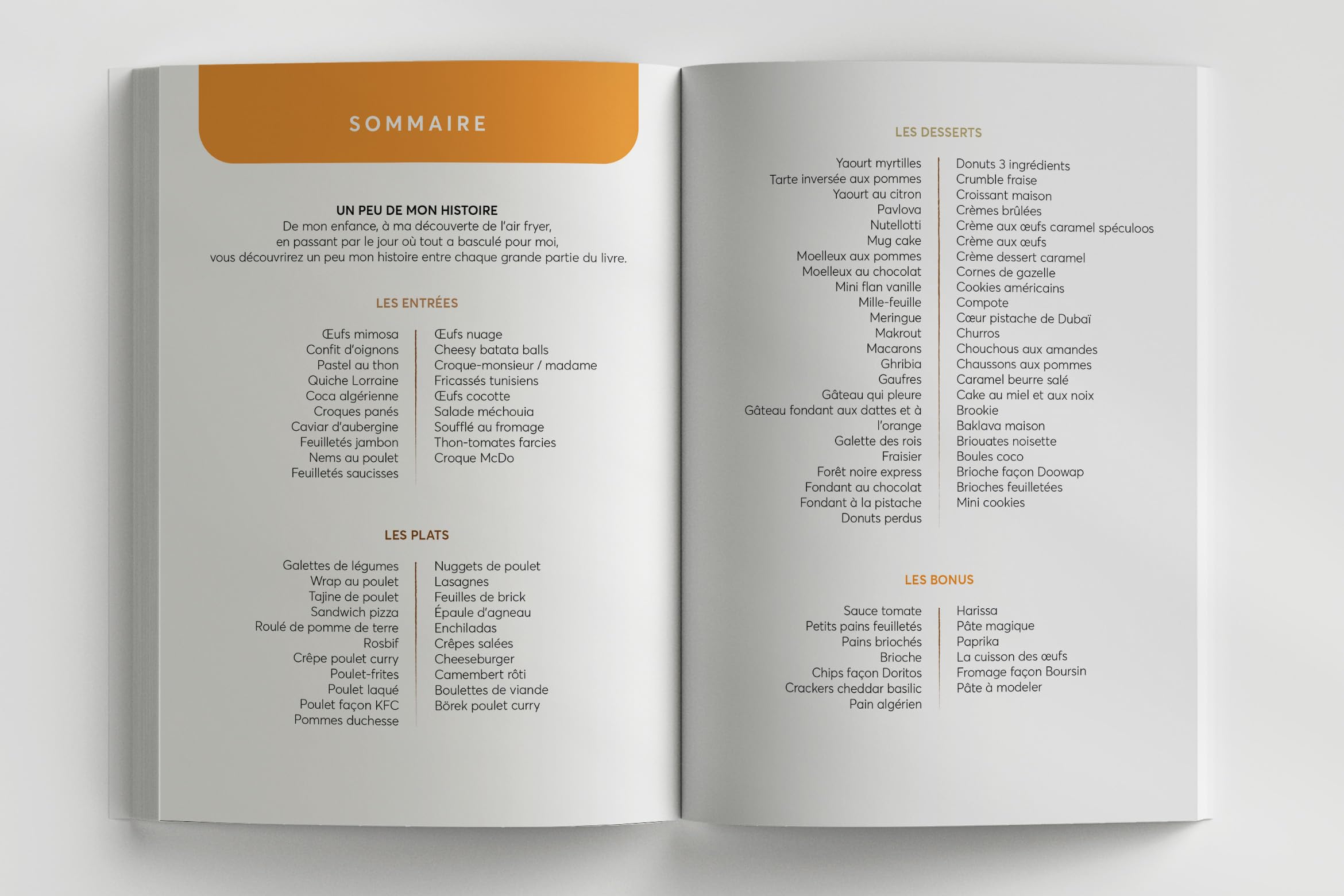 Les recettes de Malvi's Cooking: 100 recettes, uniquement au air fryer !