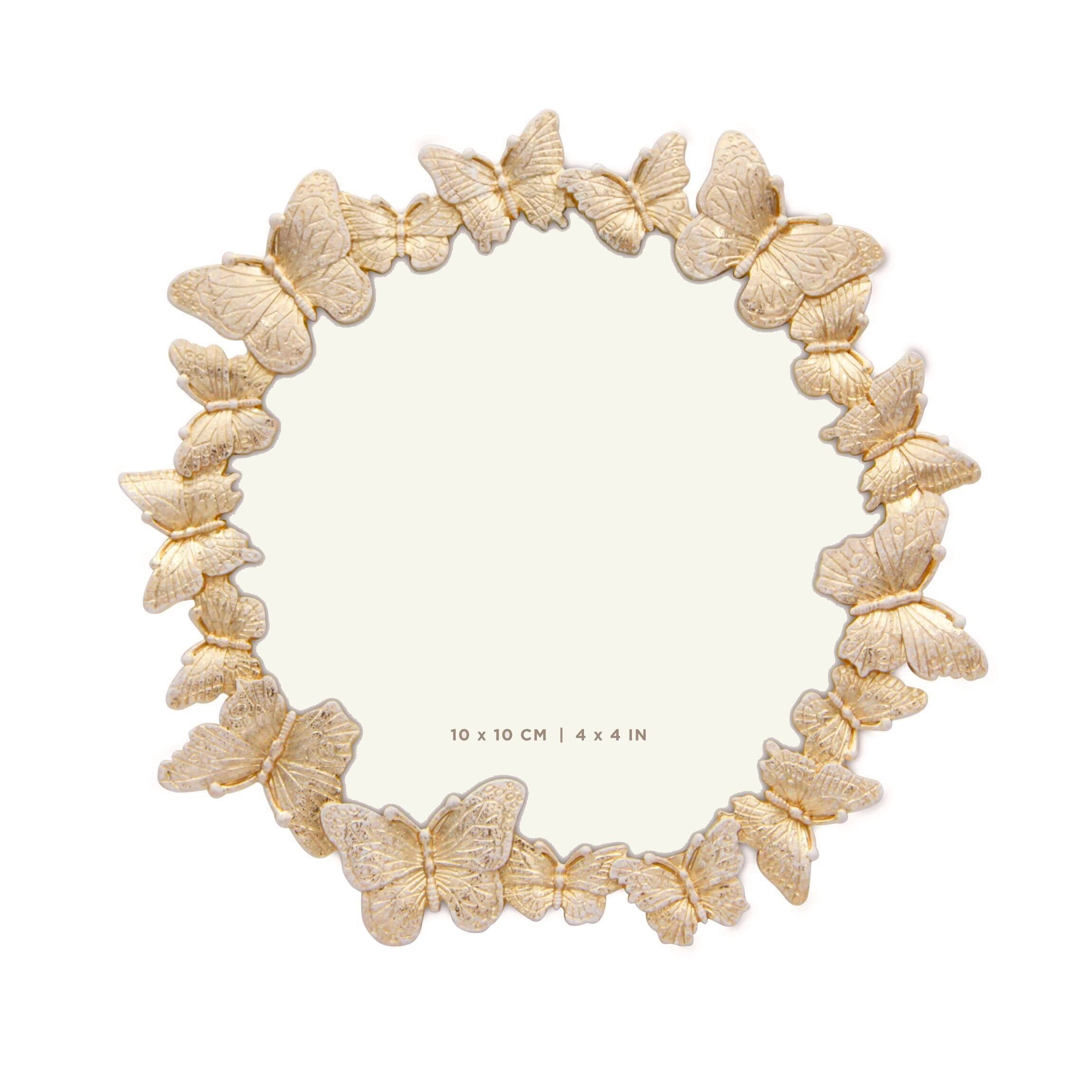 10 Best Butterfly Picture Frames Hummingbirds Plus