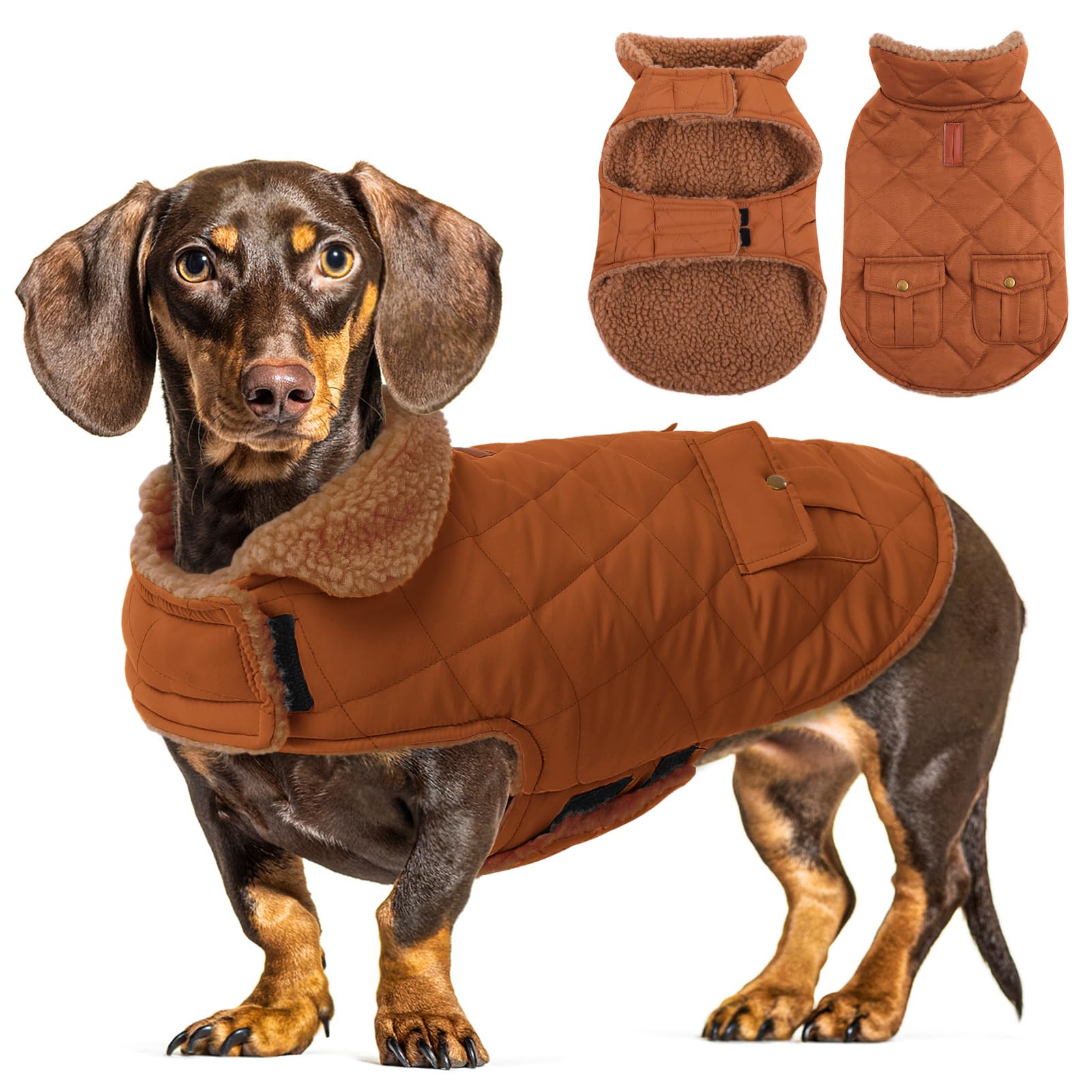 CITÉTOILE Dog Winter Coat Windproof Dog Jacket Brown XL