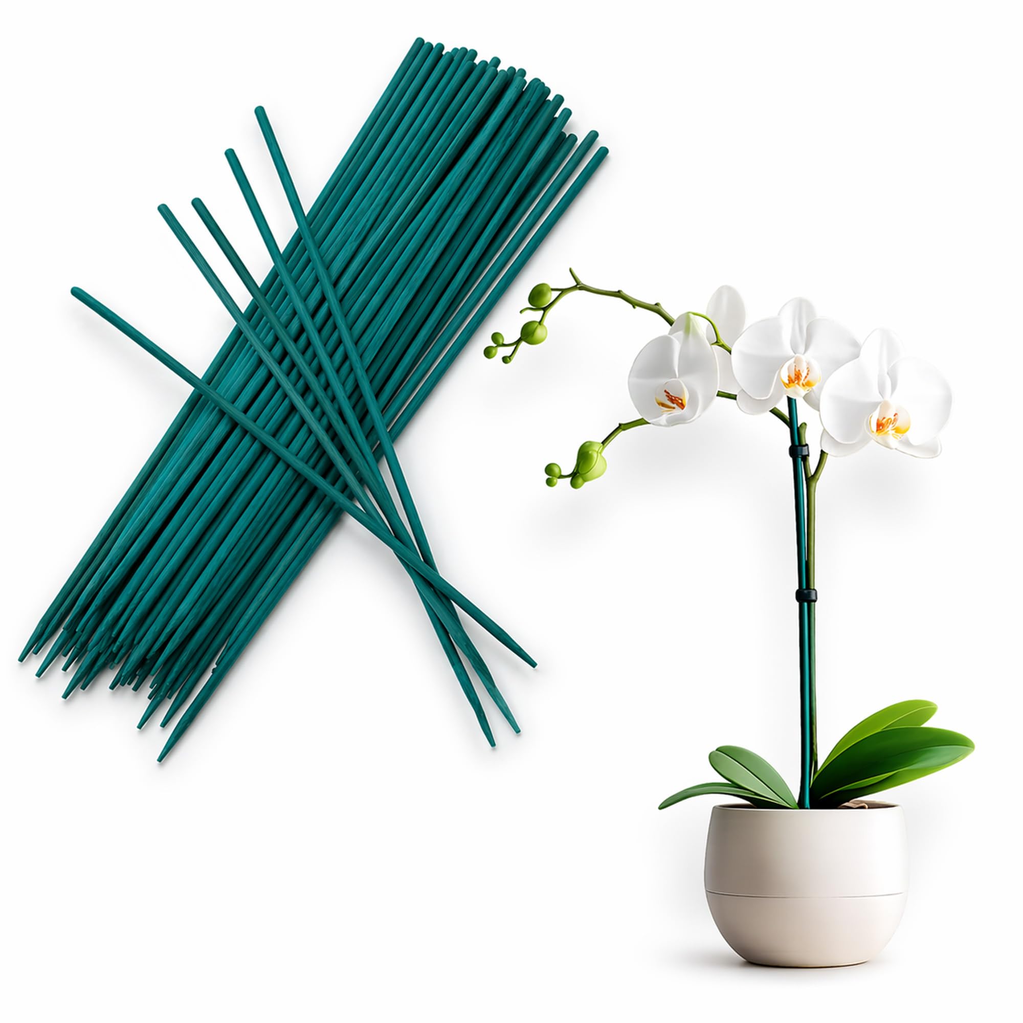Pack of 50 Green Plant Sticks - 30cm Weather Resistant Bamboo Canes, Plant Support Garden Stakes, Ideal for Straightening and Securing Plant Stems