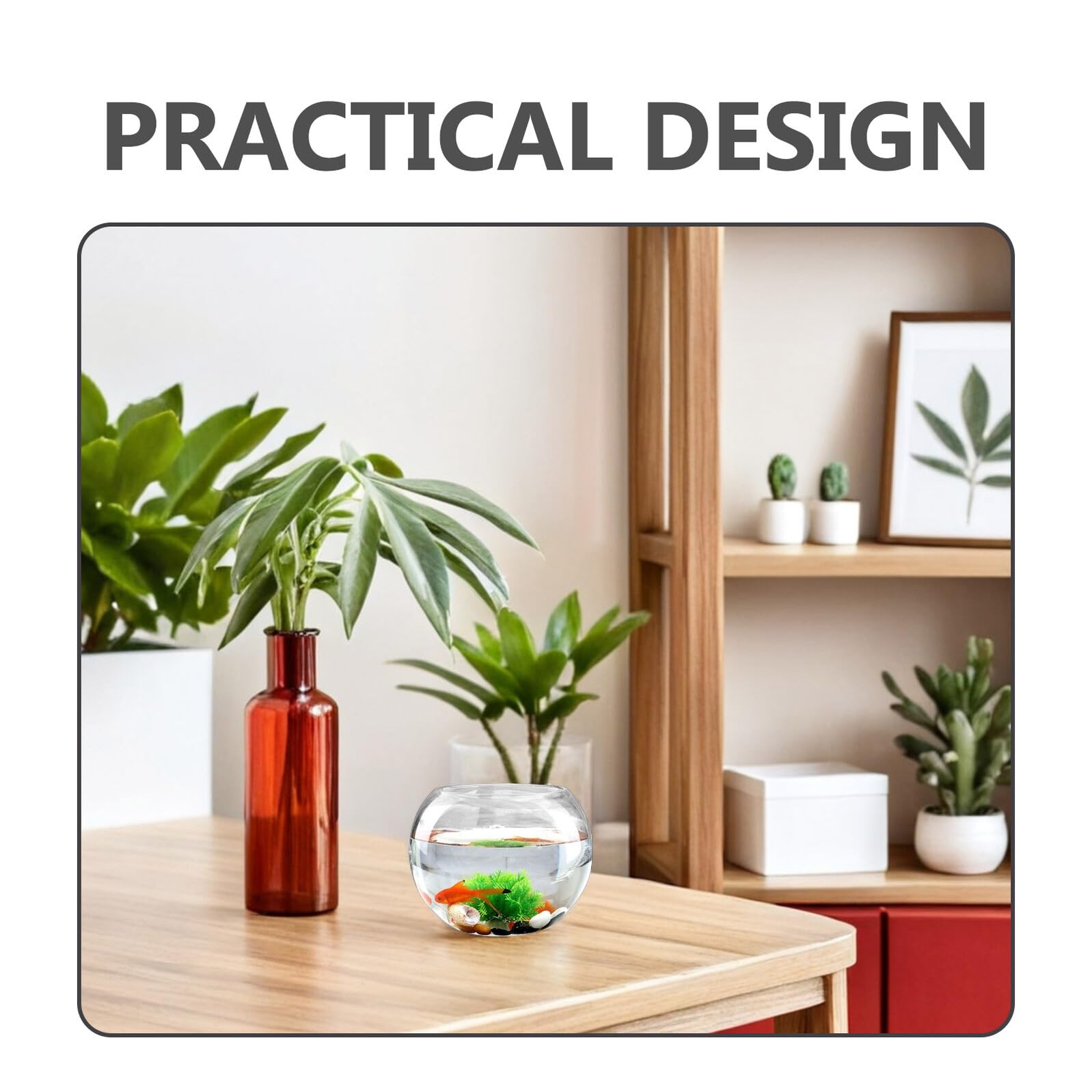 CALLARON Rundes Glas Terrarium 2 Stück für Pflanzen mit Transparentem Design und Reinigender Raumfunktion Kreatives Wohnaccessoire für Zuhause und Wohnzimmer