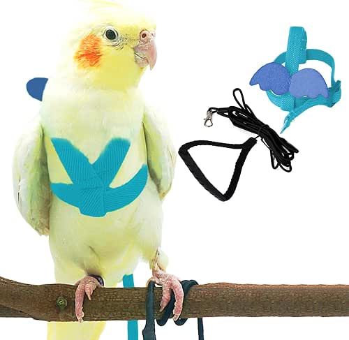Dnoifne Pet Parrot Bird Harness and Leash, Adjustable Training Design