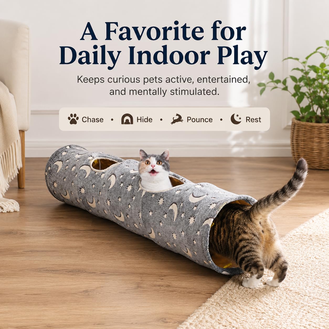 Tubo de túnel de gato con bola de peluche, plegable, fotoluminiscencia luminosa, para mascotas pequeñas, conejos, gatitos, hurones, cachorros y perros, estrella de luna gris