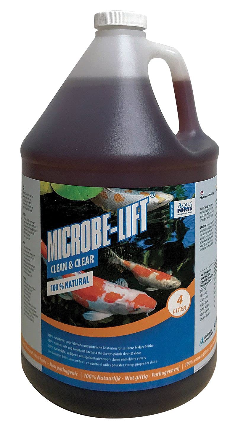 AQUAFORTE Aqua Forte – 4L MICROBE – LIFT Clean & Clear, utili lebende batteri Filtro Start