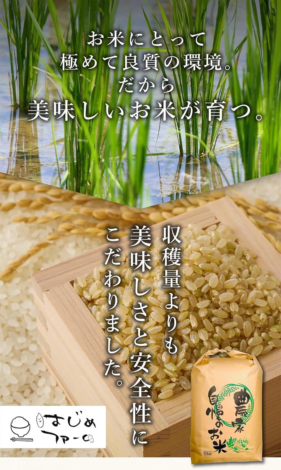 Amazon.co.jp: 無農薬 玄米 5kg コシヒカリ 熊本県産 新米 令和6