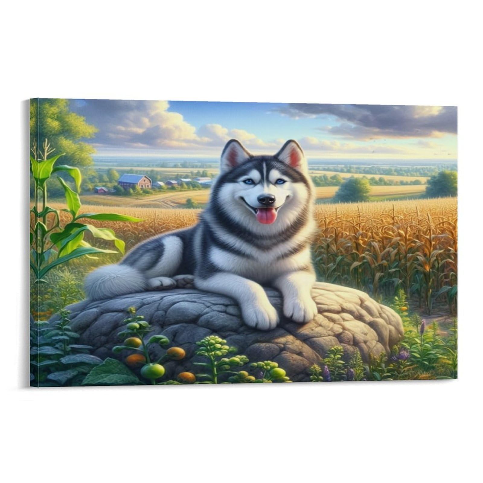 CPLVKWRQJ Siberian Husky Dog 1 Piece Husky Rests on Rock Beside Crop Fields Framed Canvas Print - Living Room Focal Point Fade Resistant Ready to Hang Wall Art 12x18inch(30x45cm)