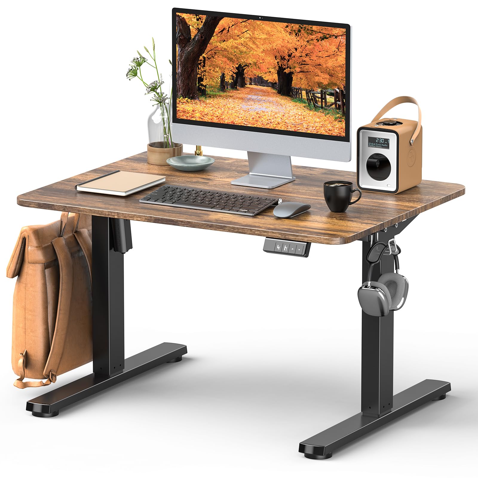 Amazon | Zontera 電動 昇降式ローデスク 高さ調整48-75cm ロータイプ