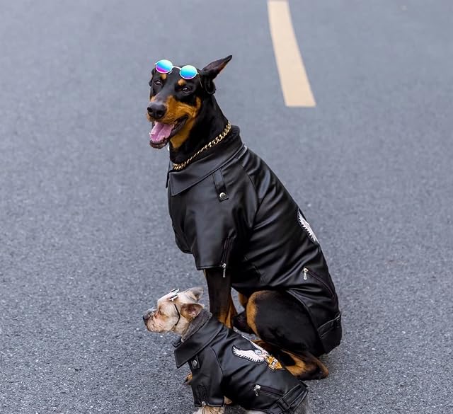 Foto 4 de 7 de DHGTEP Abrigo de Perro Grande Chaqueta de Cuero de La PU Lujo Suave Perro Parka Abrigo Otoño Invierno…
