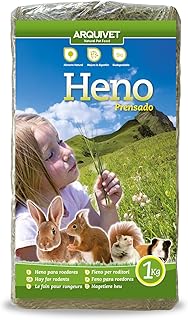 Arquivet Gepresstes Heu für Nagetiere und Kleinsäuger – Kaninchen, Meerschweinchen, Hamster, Eichhörnchen – 1 kg product image