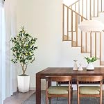 5FT Artificial Lemon Tree with Pot - 60" Fake Lemon Tree with White Tall Planter, Faux Lemon Plant with Realistic Fruits and Silk Leaves, Artificial Plants Indoor for Home Office Kitchen Decor