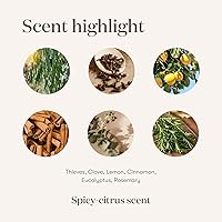 Vista 7 de Limpiador doméstico Thieves de Young Living, 14.4 onzas líquidas