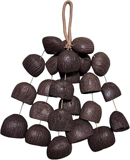 Saeleor Seed Shell Shaker 432Hz Sound Healing Instruments | Composed of 24 Natural Salin Nutshells Gentle Water Flow For ASMR Yoga Meditation Sound Bath