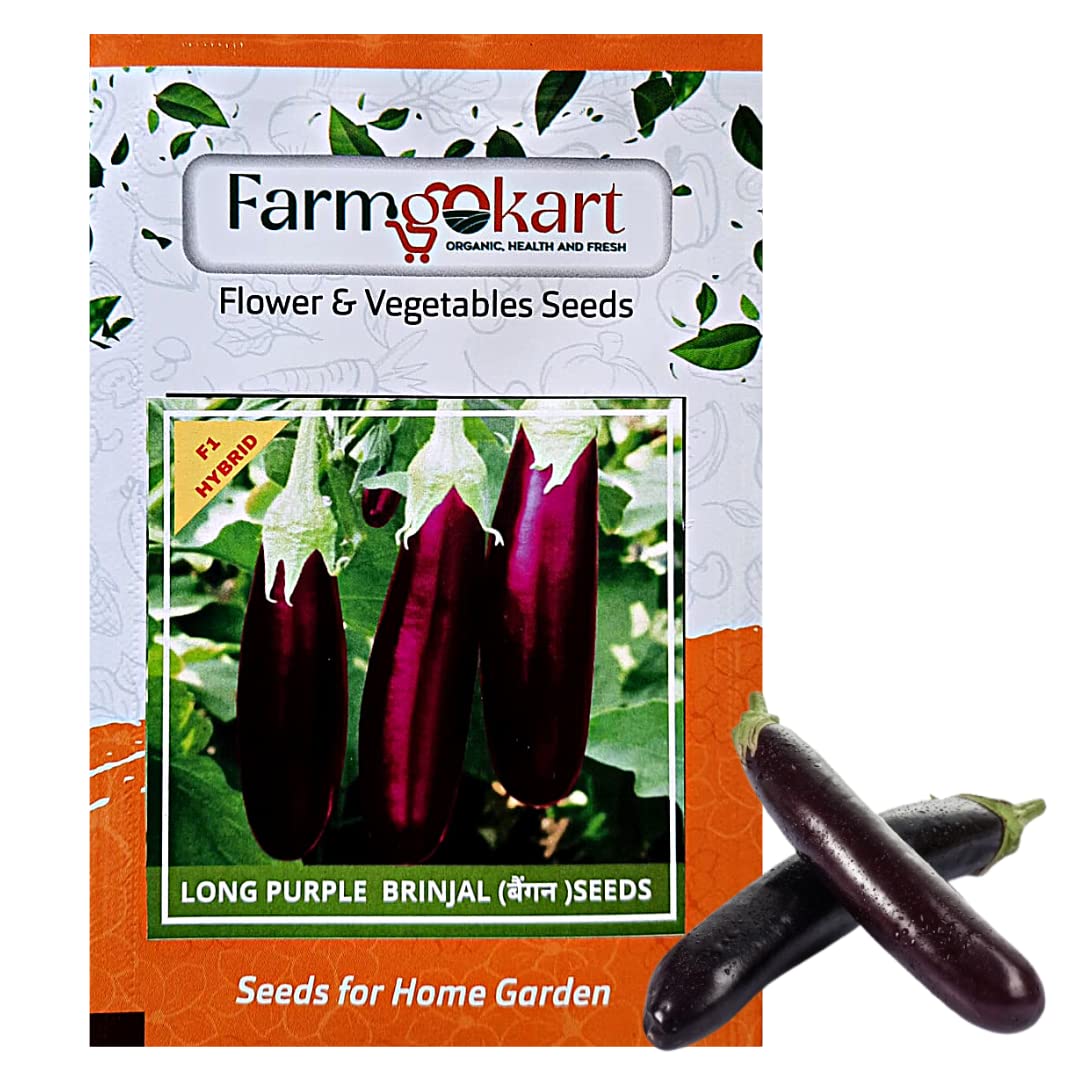 FARMGOKART 5 Gms - BRINJAL PURPLE LONG HYBRID F1 SEEDS, Vegetable Seeds for Home Gardening, Farming, Hydroponics and Poly Houses (B0BTYP1Q8S) Amazon Price History, Amazon Price Tracker