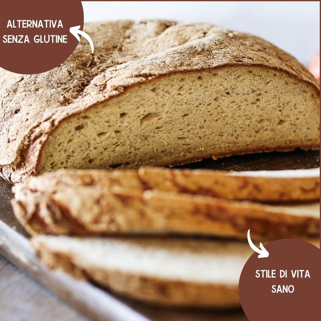 Ruut Miscela di pane senza glutine con farina di manioca | 1x810g | sostituto del grano privo di cereali, additivi e conservanti | paleo, vegano e sostenibile