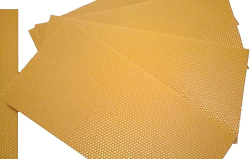 APIFORMES Mittelwände Zander 2 kg Bienenwachs