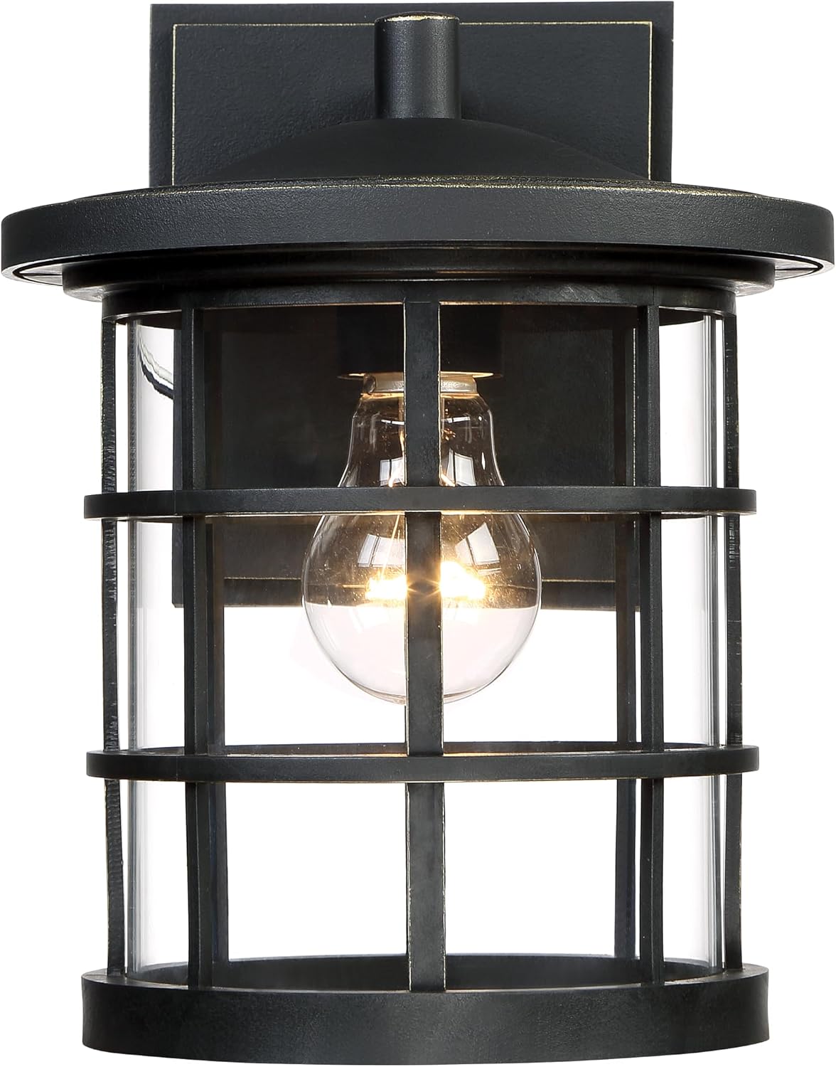 Quoizel Asheville 10.5" Marine-Grade Wall Sconce, Oil-Rubbed Bronze, Dimmable, Coastal Wet Rated