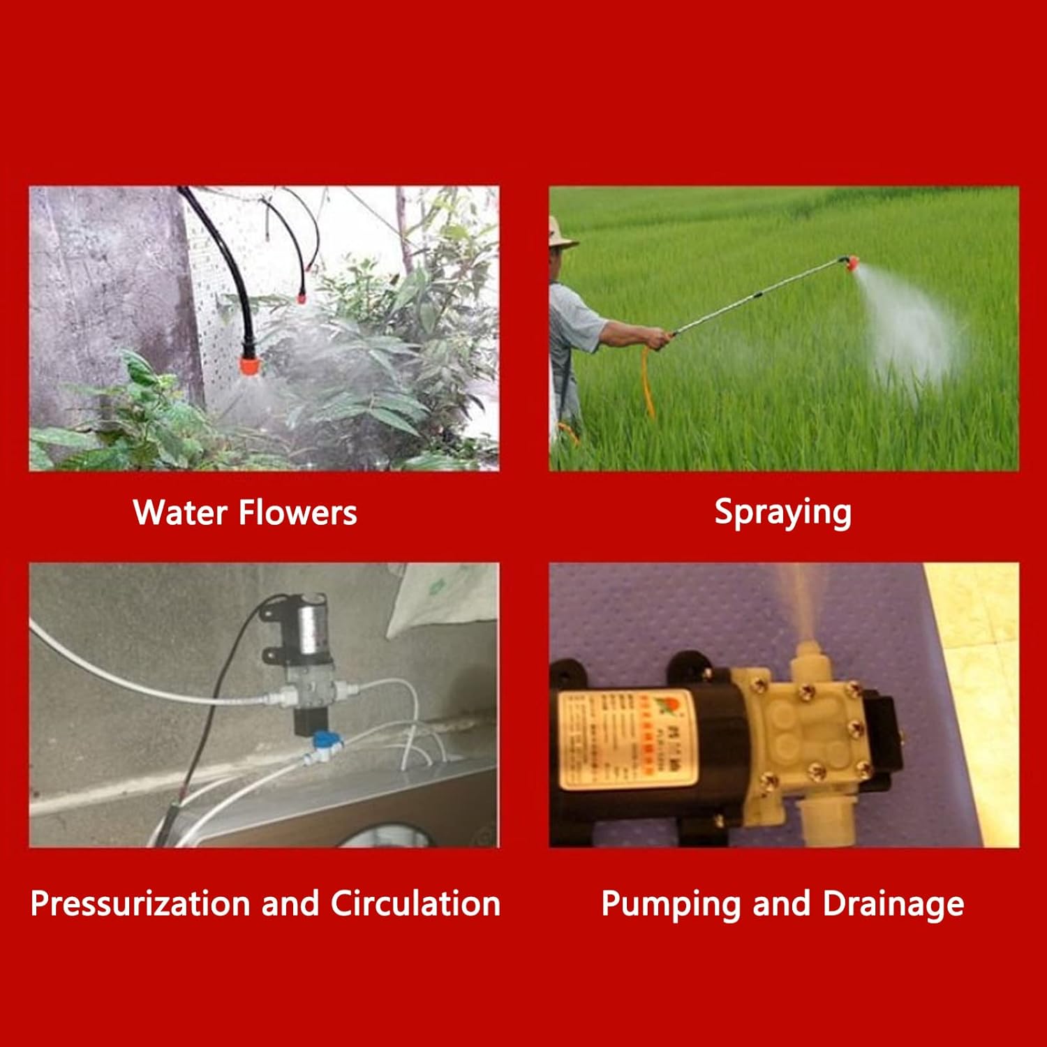 Water Pump Booster Pump DC 12V 1.8A 55PSI Self Priming Sprayer Pump with Strong Copper Motor for RV Yacht Watering Garden Sprinklers