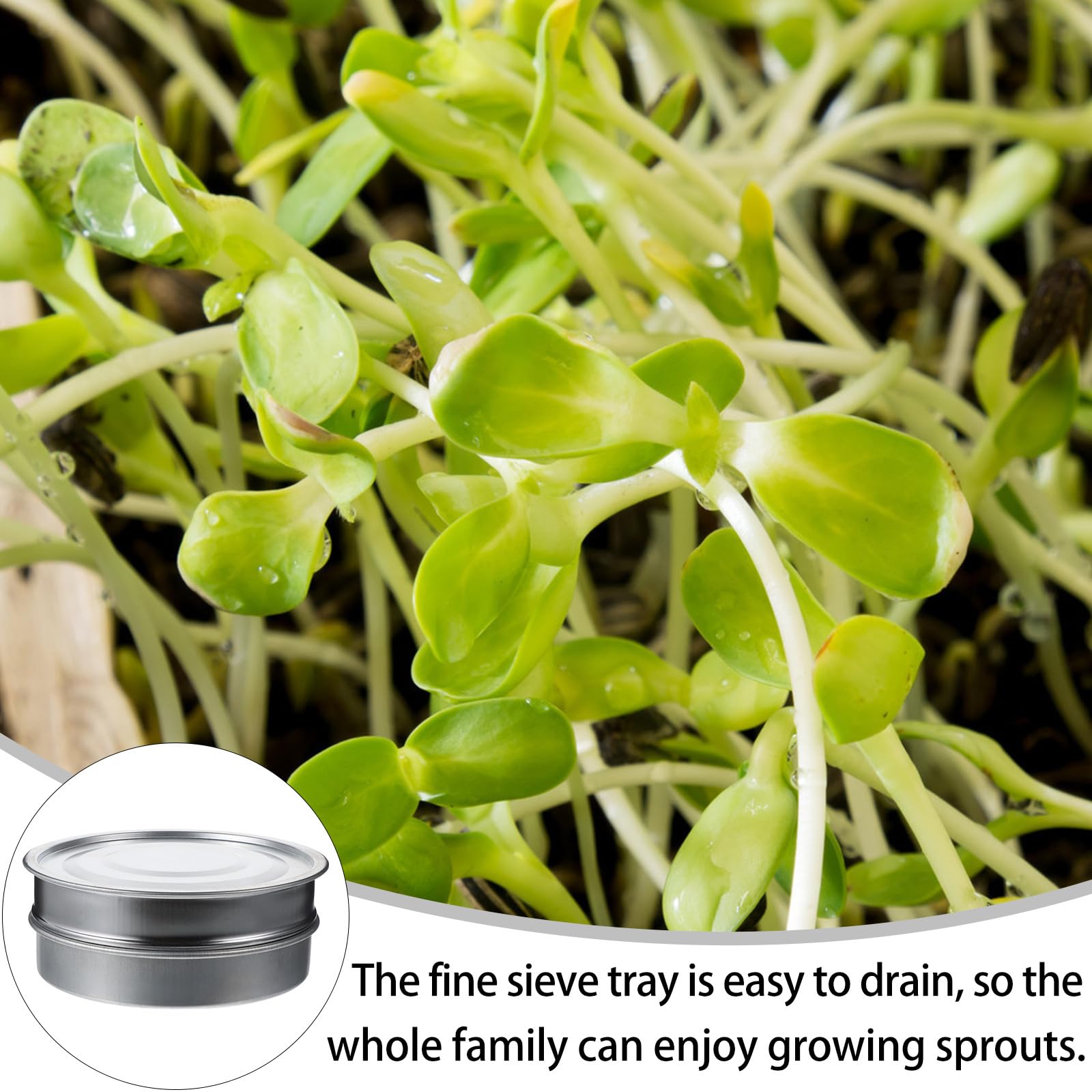 Kichvoe Juego de 3 Bandejas de Germinación de 20 Cm de Acero Inoxidable Malla de 1.25 Mm y Tapa Galvanizada, Accesorio Práctico para Germinar Plantas en Casa y Balcón, Herramienta