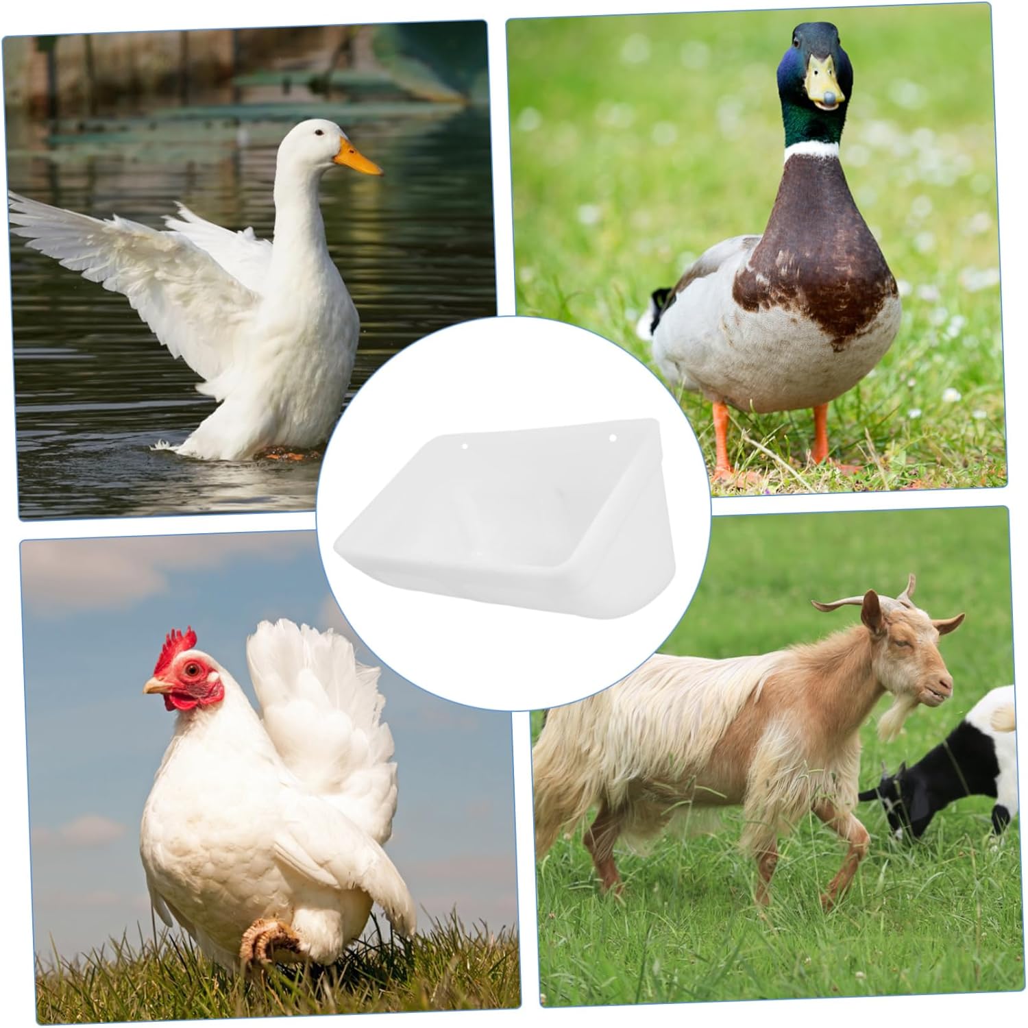 2Sets Automatic Chicken Feeder and for Poultry Capacity Spill Coop Feeding Container Chick Feeding Device