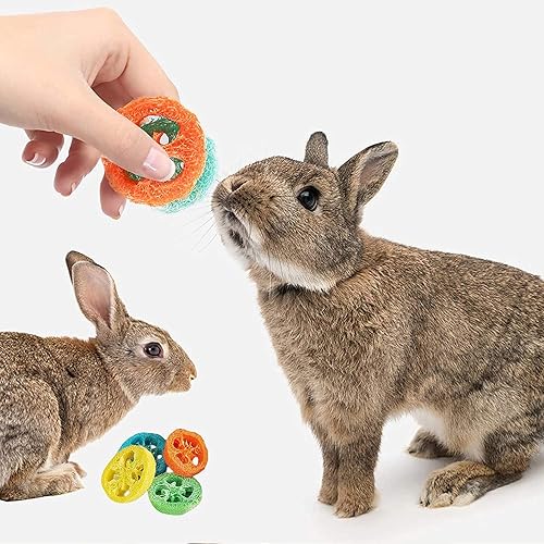 Miniatura 6 de 14 juguetes de conejillo de indias juguetes de conejo para dientes juguetes masticables de cuidado de dientes de animales pequeños para hámster