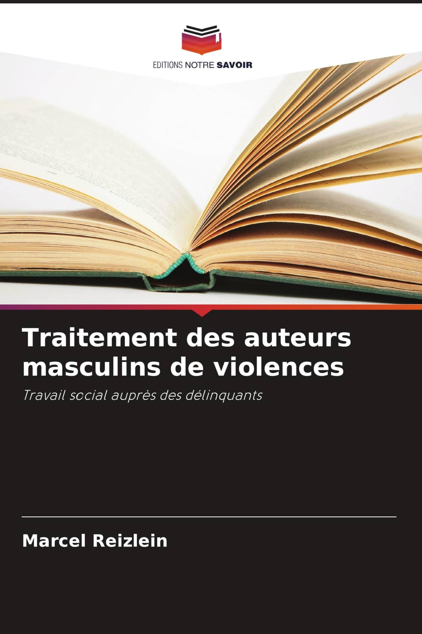 Traitement des auteurs masculins de violences: Travail social auprès des délinquants