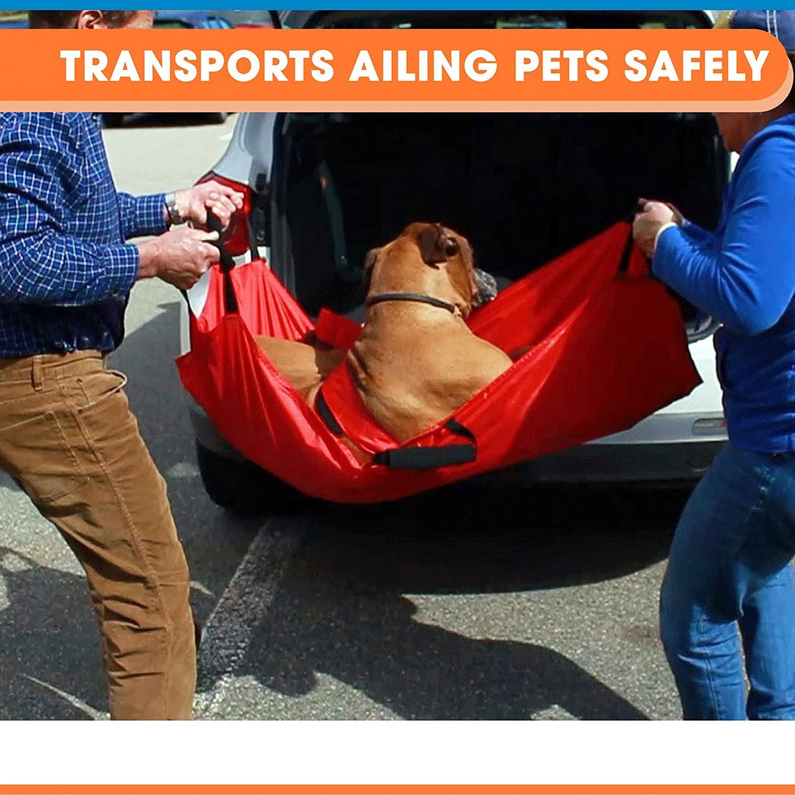 Civière De Transport pour Animal, Animaux De Compagnie Brancard Brancard pour Chien Civière d'urgence pour Chien avec Sangle De Sécurité pour Garder Votre Animal en Sécurité (Color : Red)