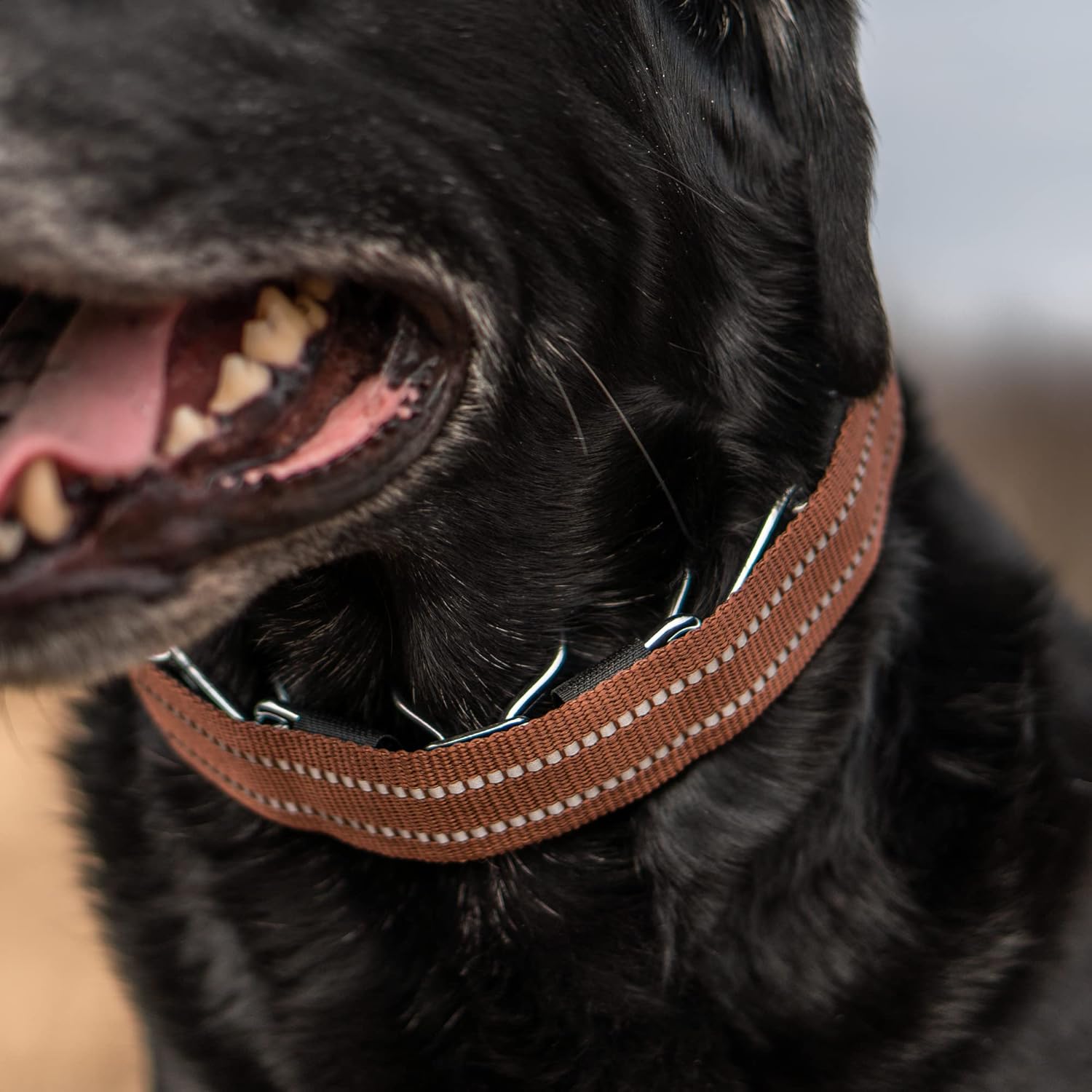 Herm Sprenger Brown Reflective Nylon Cover for Ultra-Plus Pinch Dog Collar for Small Medium Large Dogs Durable Protector for Dog Training Prong Collar (18.5in (46.5cm))