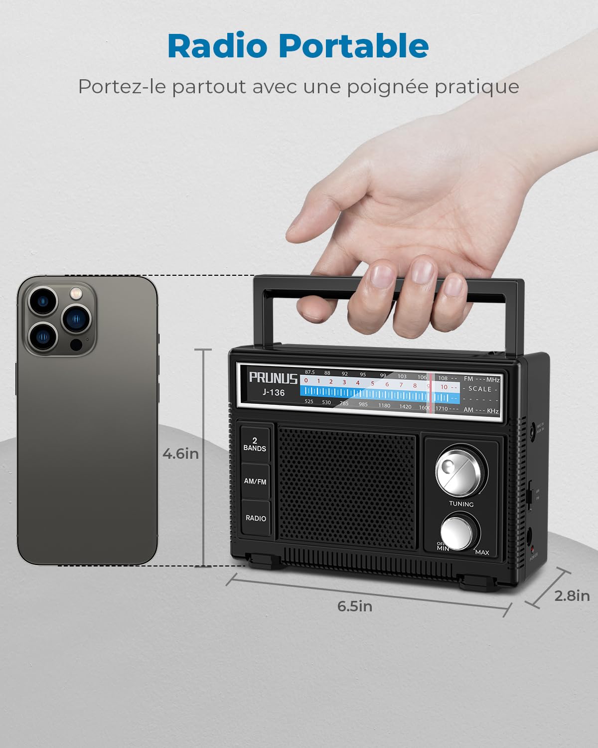 Poste Radio Portable, PRUNUS J-136 AM FM Radio FM Portable, Excellent Reception, Transistor Radios Secteur et Pile, Poste de Radio avec Prise AUX et Prise Microphone