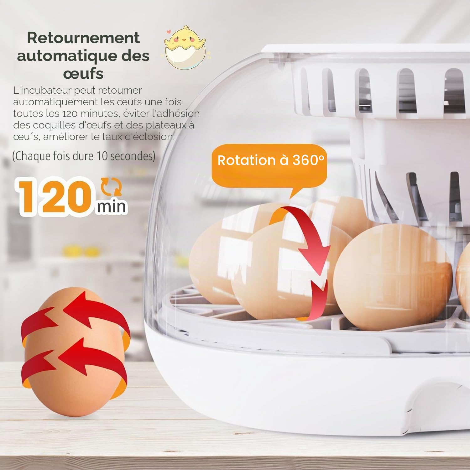Viowey Couveuse Oeuf Automatique, Couveuse 12 Oeufs avec Retournement Automatique Des œUfs et ContrôLe de TempéRature, Ajout Automatique d'eau, Couveuse LED, pour Poules Canards Oies Cailles