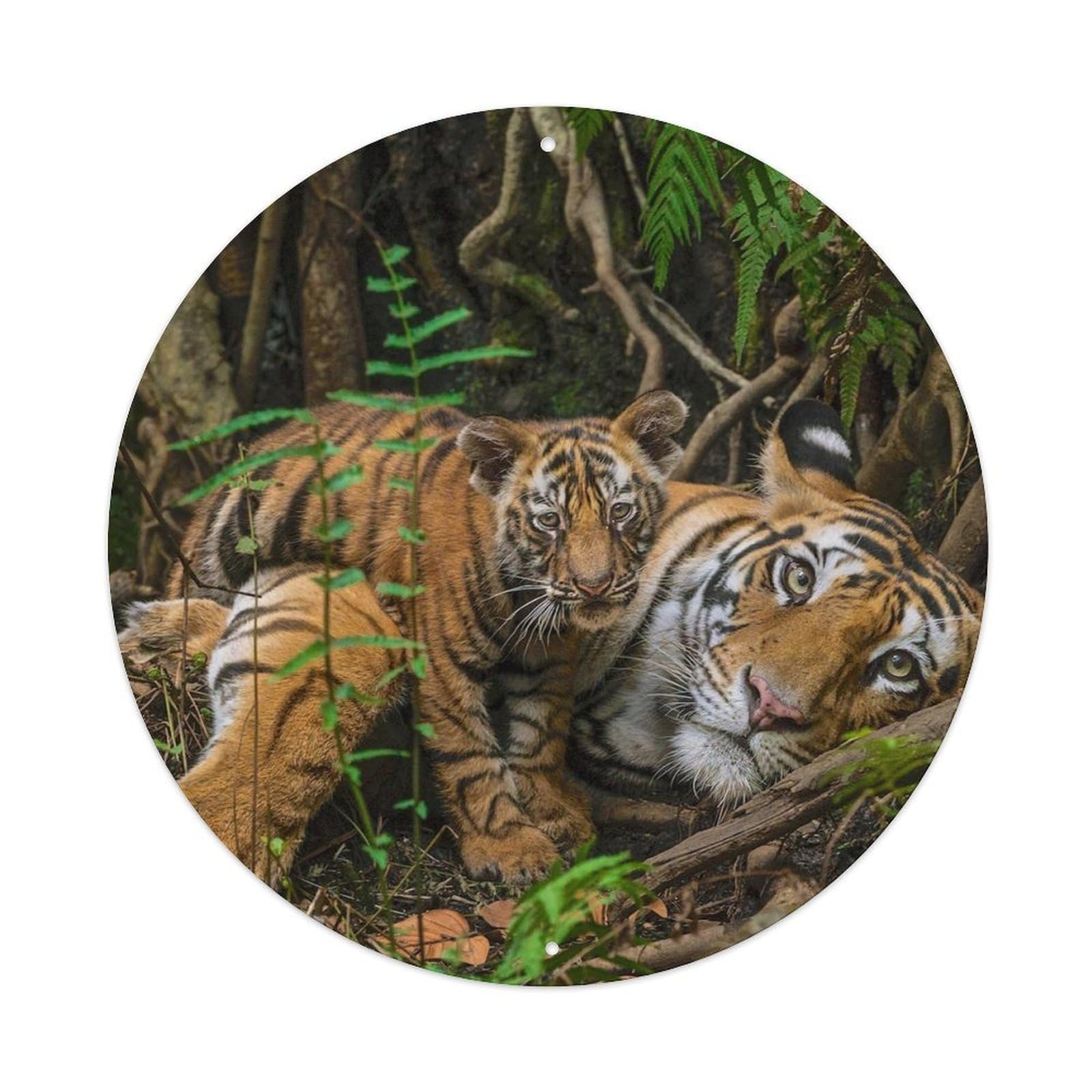 Tiger Father Cub Wildlife Predator Classic Metal Tin Sign