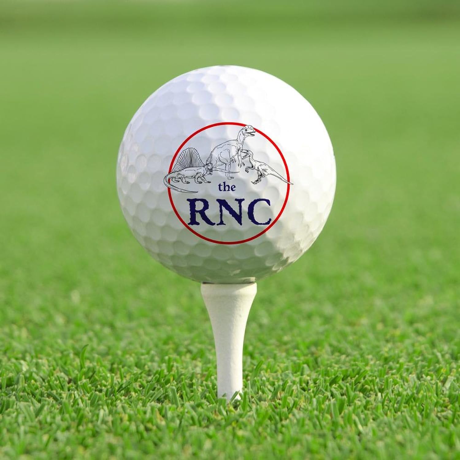CafePress The RNC, Dinosaurs Novelty Golf Balls (Pk of 12)