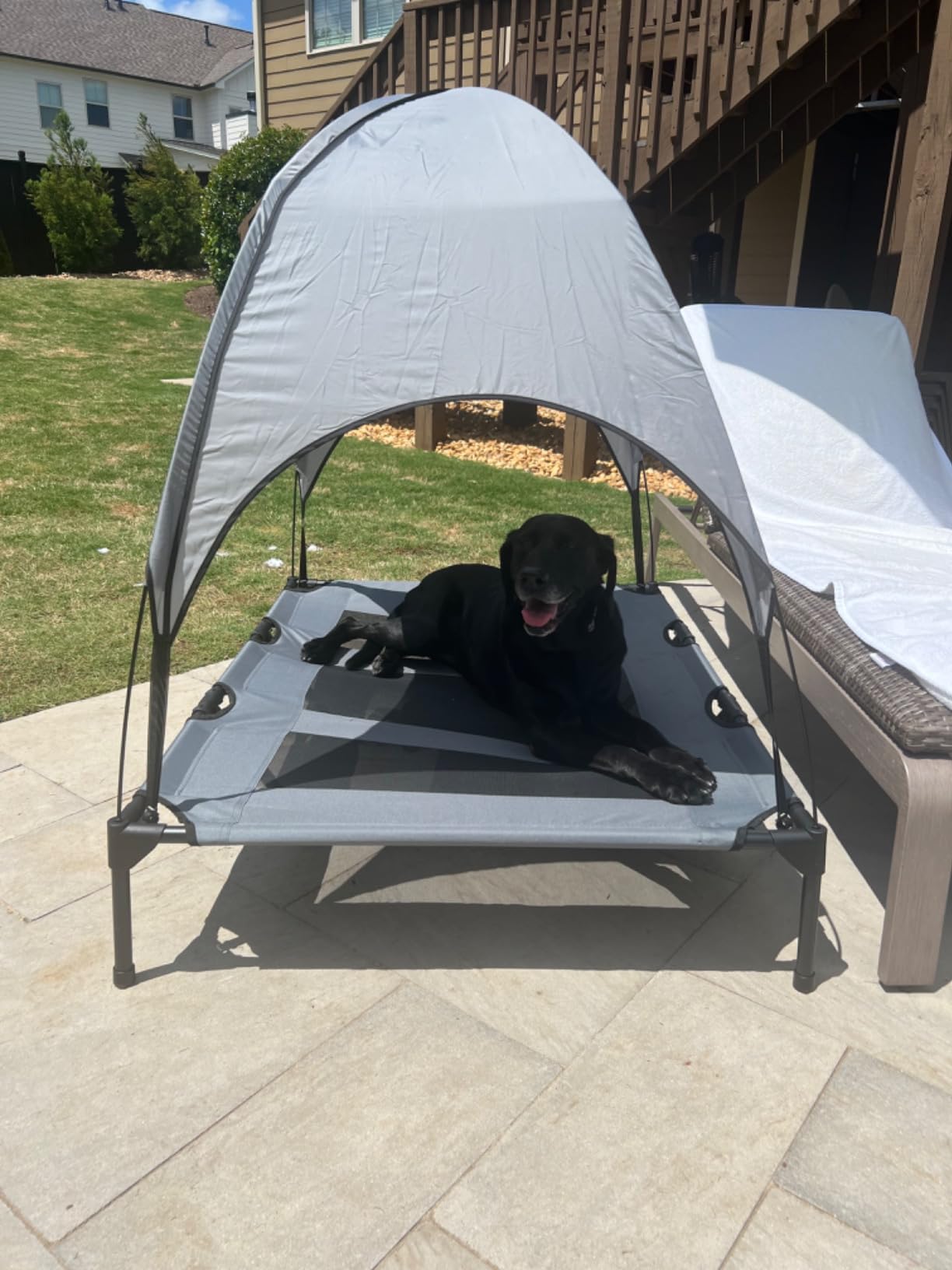 PupHut Outdoor Raised Dog Bed – XL Size Lounger with Shade Canopy