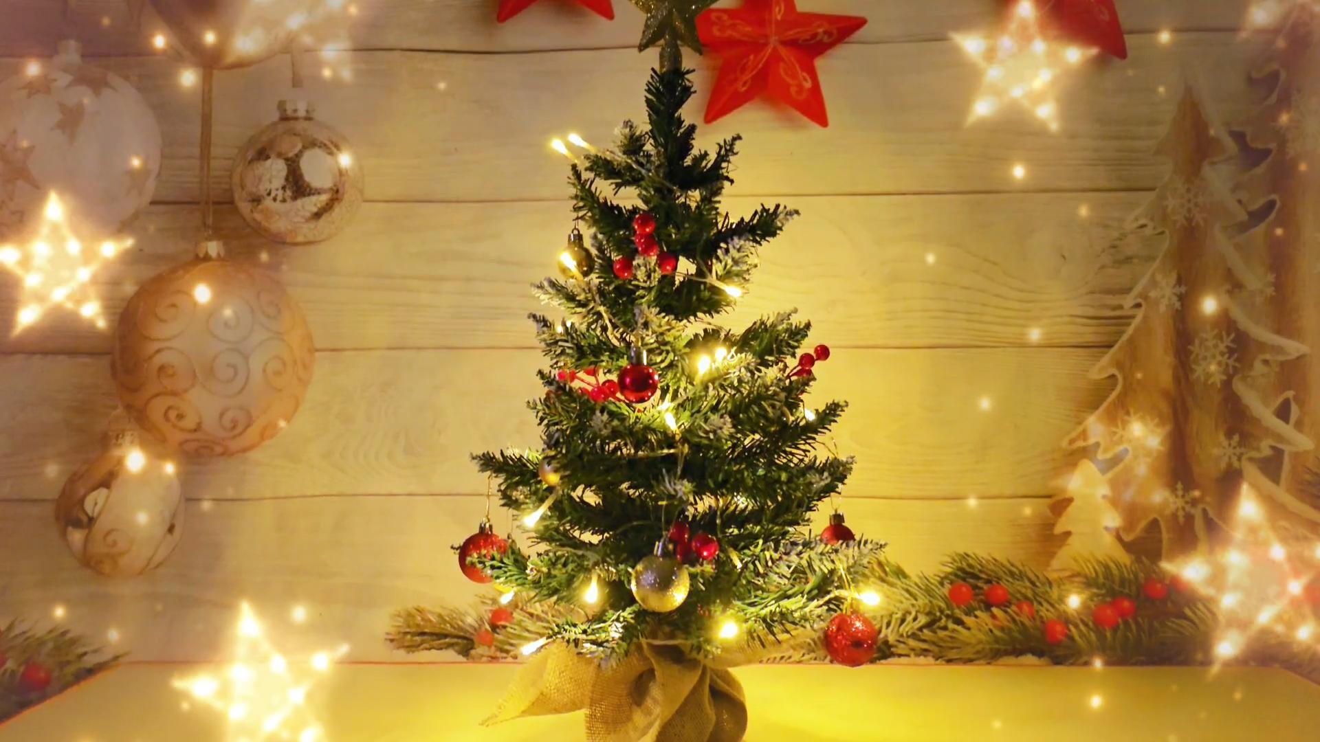 * mini christmas tree ୨୧ * 小さなクリスマスツリー Amazon.com: 24