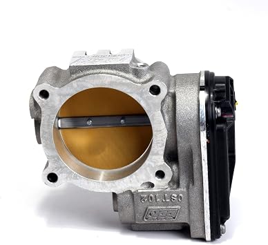 Bbk Throt Bdy 73mm Frd/