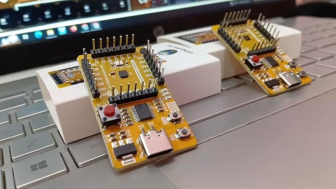 Generic VSDSquadron Mini RISC-V Microcontroller Board, Single-Wire ...