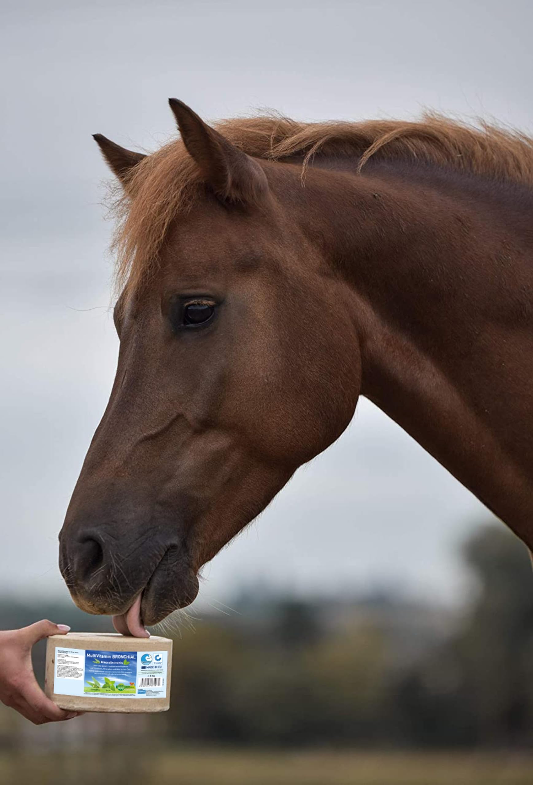 Mineral Lick Horse MultiVitamin BRONCHIAL Salt Lick Set 4 x 3kg - Pietre per leccare il sale per cavalli, pecore, capre, selvaggina e bovini - pietra minerale per leccare il sale