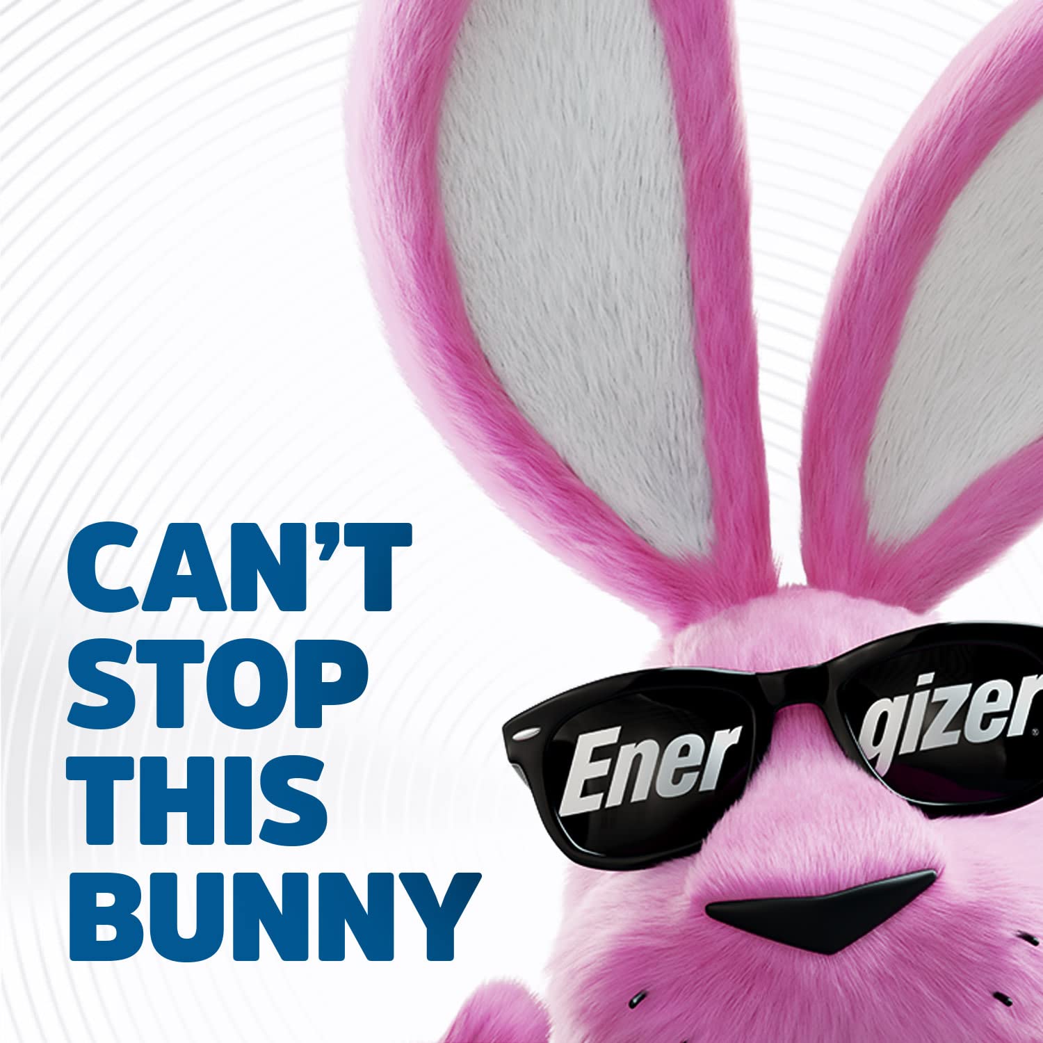 AcuRite Home Weather Station with Energizer AA Lithium Batteries (8 Count)