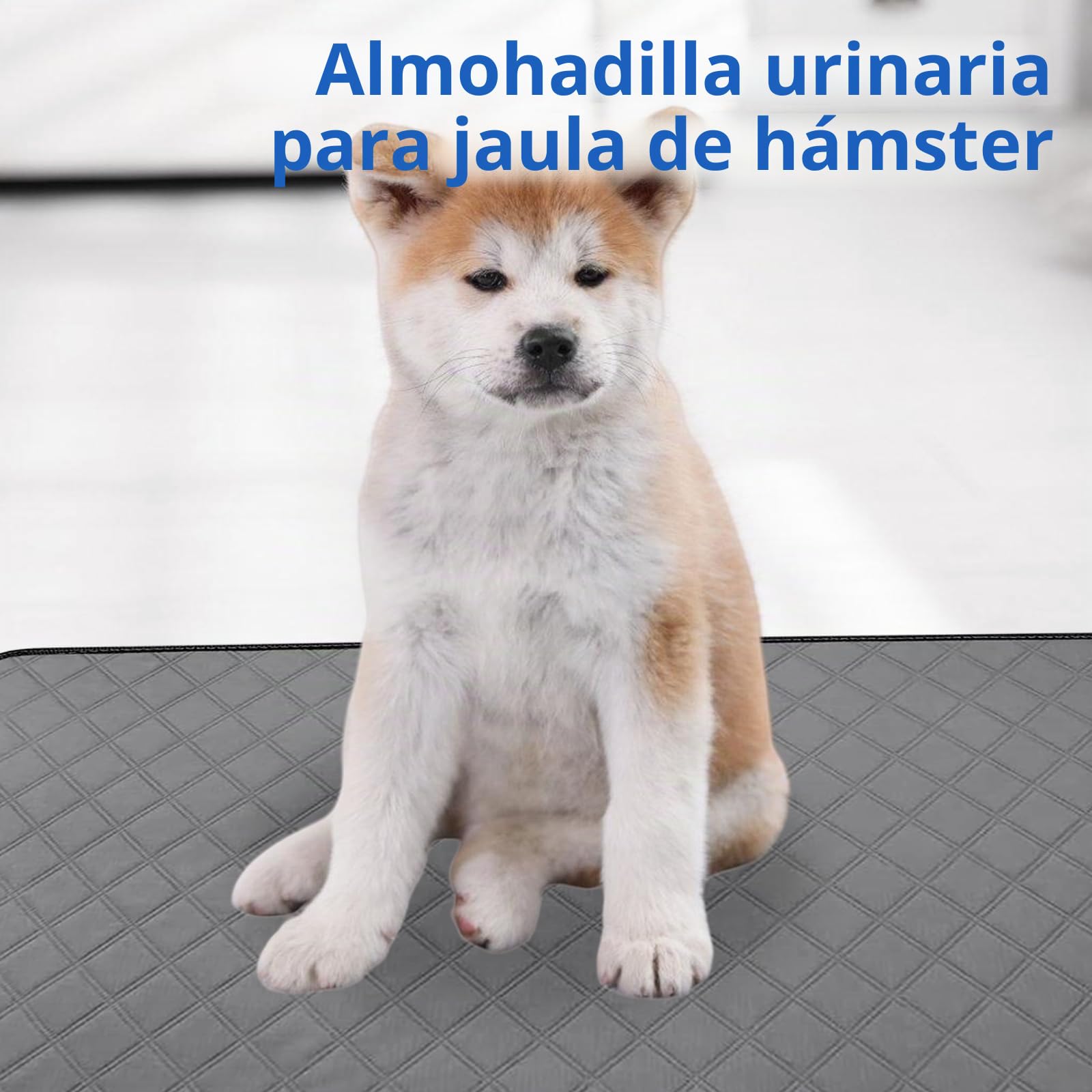 PORFOYO 2 Piezas Empapadores Perros Lavables, Empapadores para Perros (120 * 60cm) -Gris, Lavable Impermeable Manta Absorbente para Gatos, Perros, Conejos Y Cobayas