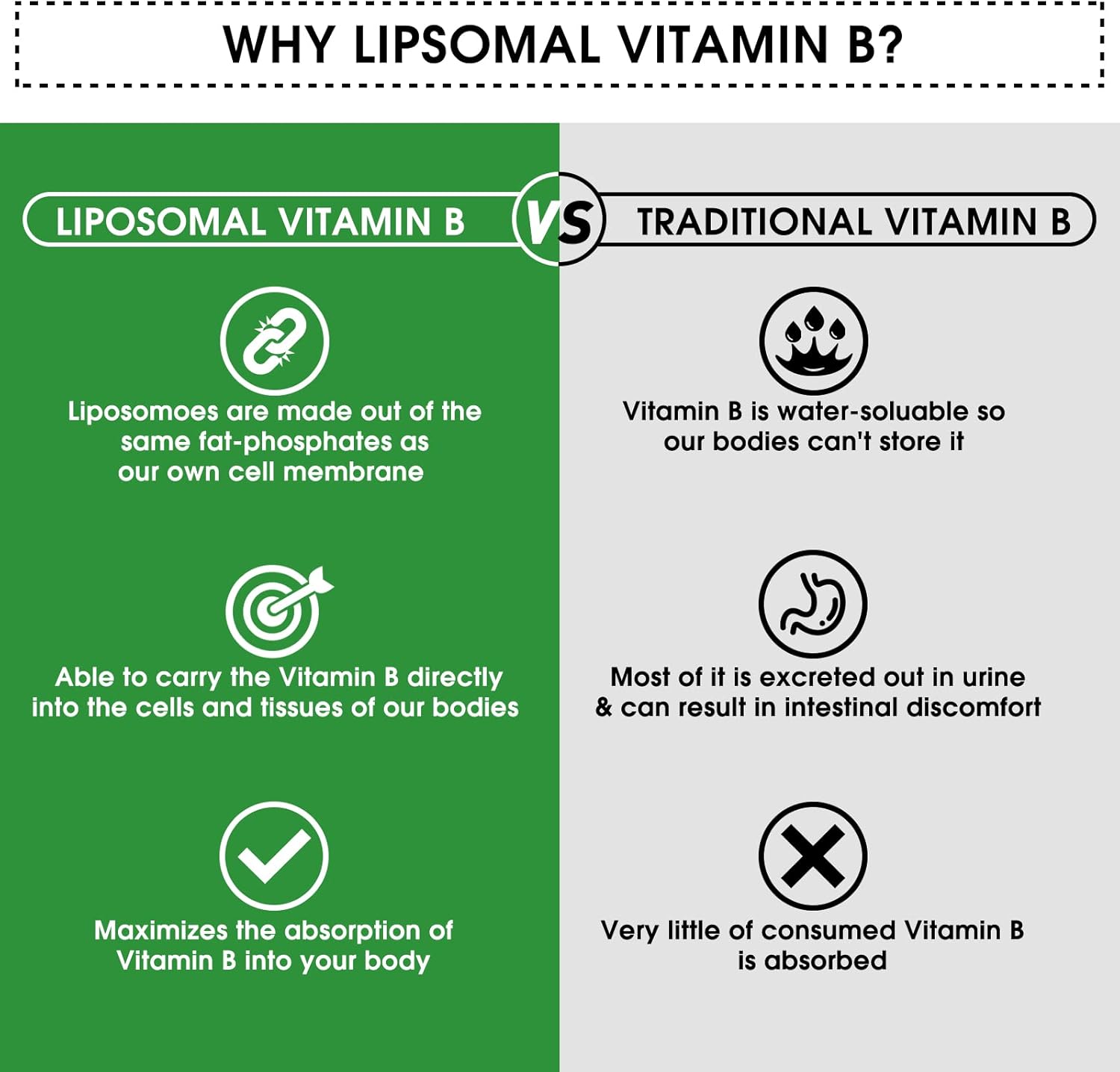 Yipmai Liposomal Vitamin B Complex Liquid Drops 60ml with 8 High Potency B Vitamins, Vegan