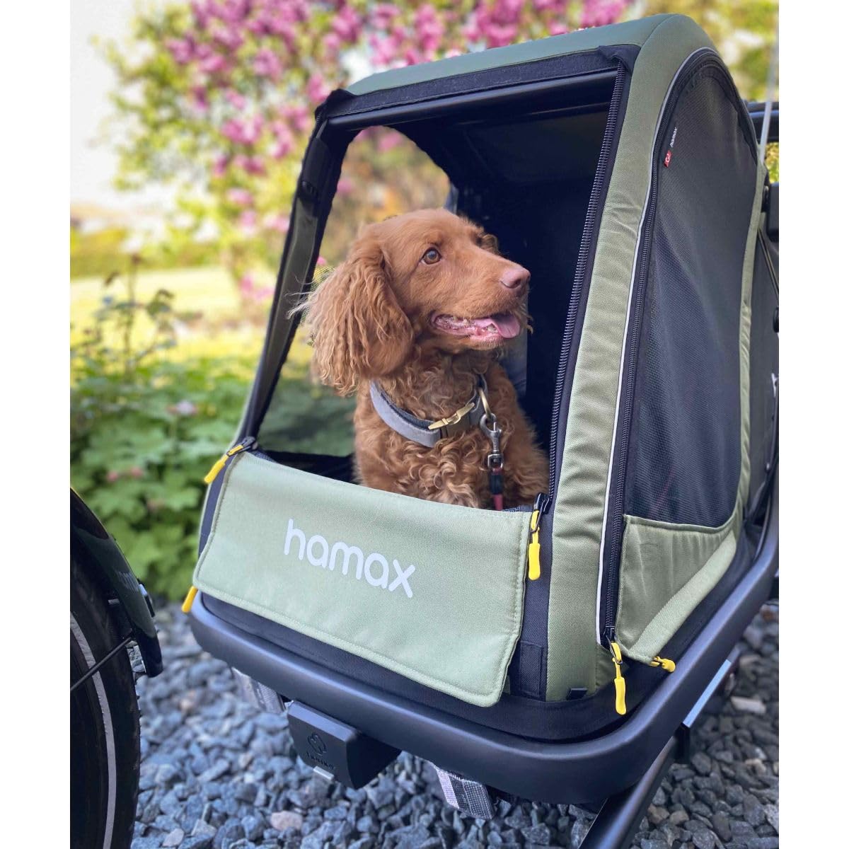 HAMAX Pluto Hundeanhänger - Grün