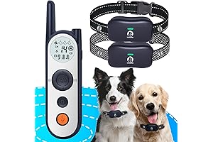 Stay and Play Wireless Fence for Dogs - 25FT to 3500FT Electric Fence