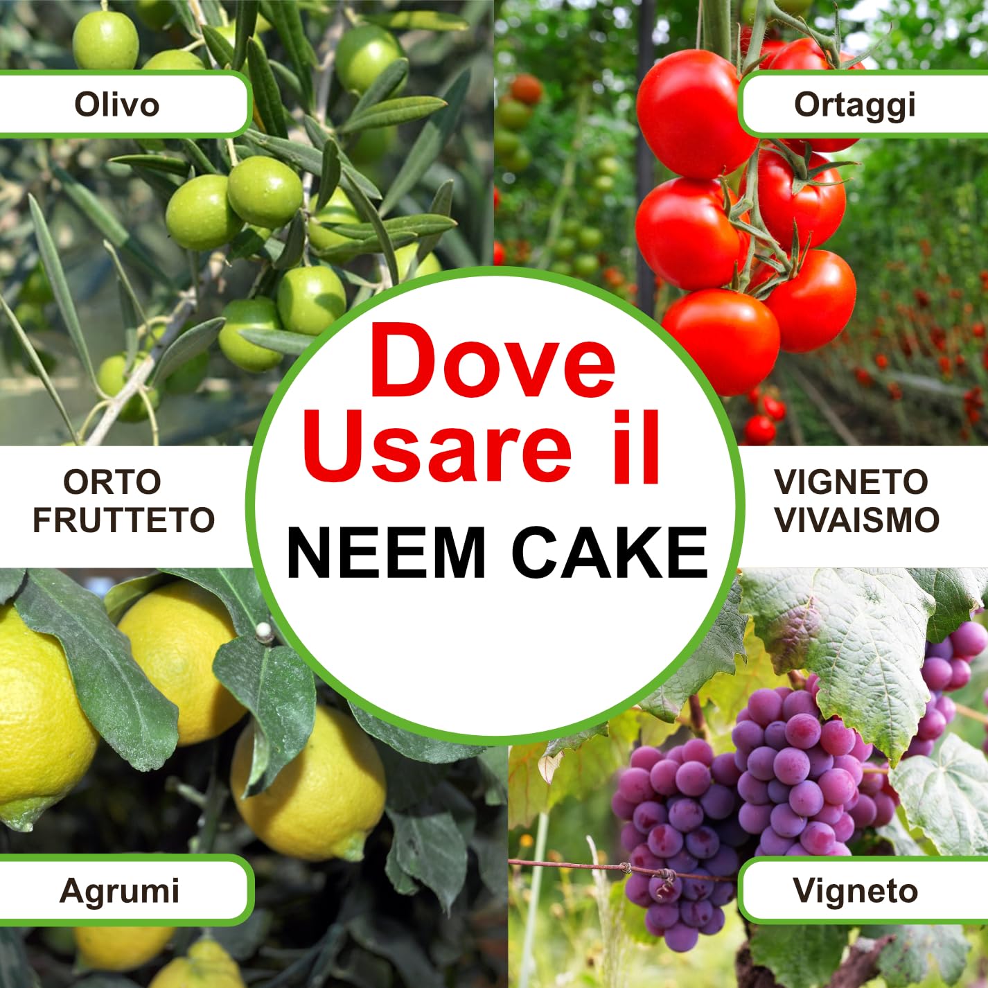 Neem Cake, Concime Biologico Vegetale, 3 Buste da 8 kg, per Orticoltura e Giardinaggio