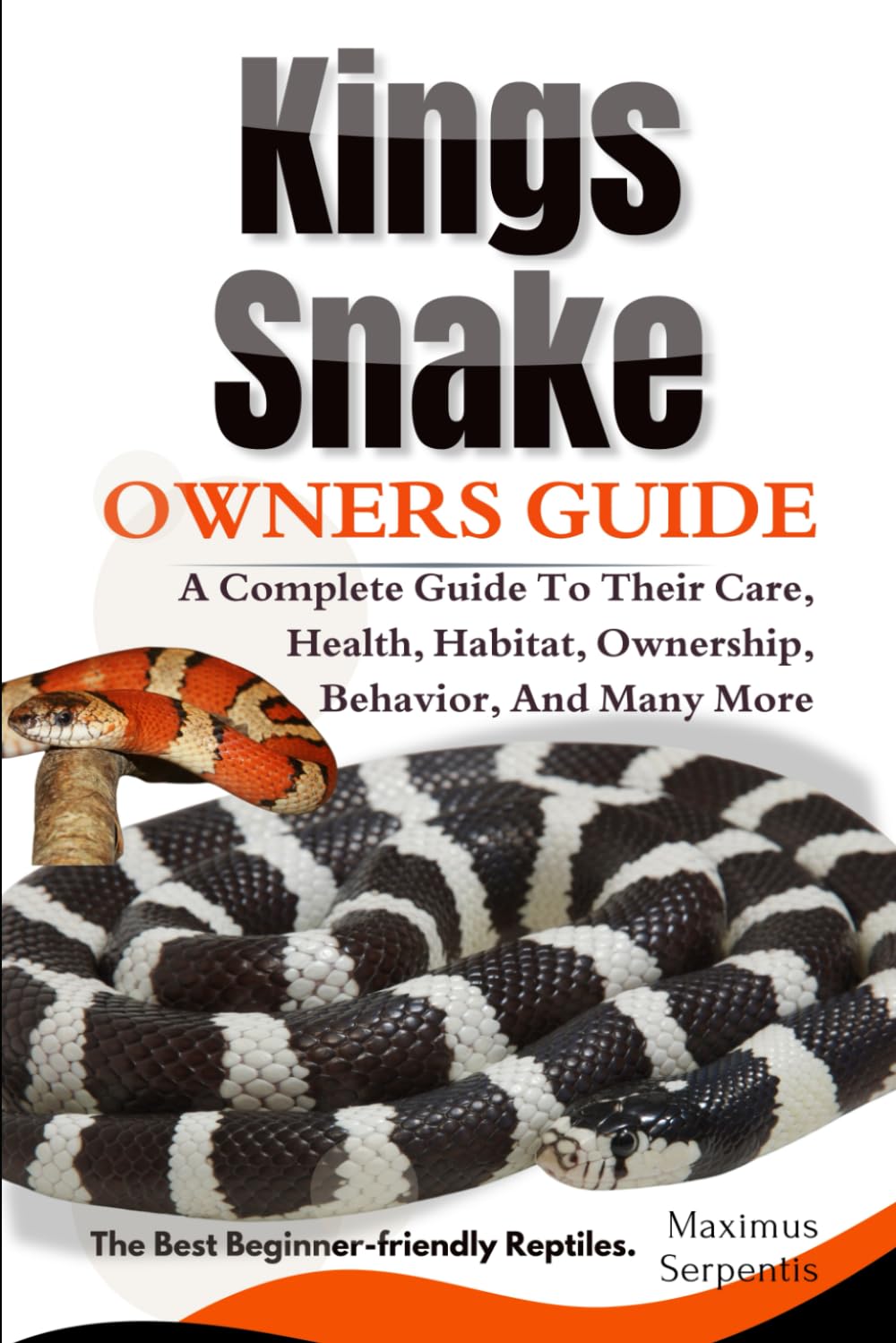 KINGS SNAKE OWNERS GUIDE: A Complete Guide to Their Care, Health, Habitat, Ownership, Behavior, And Many More.