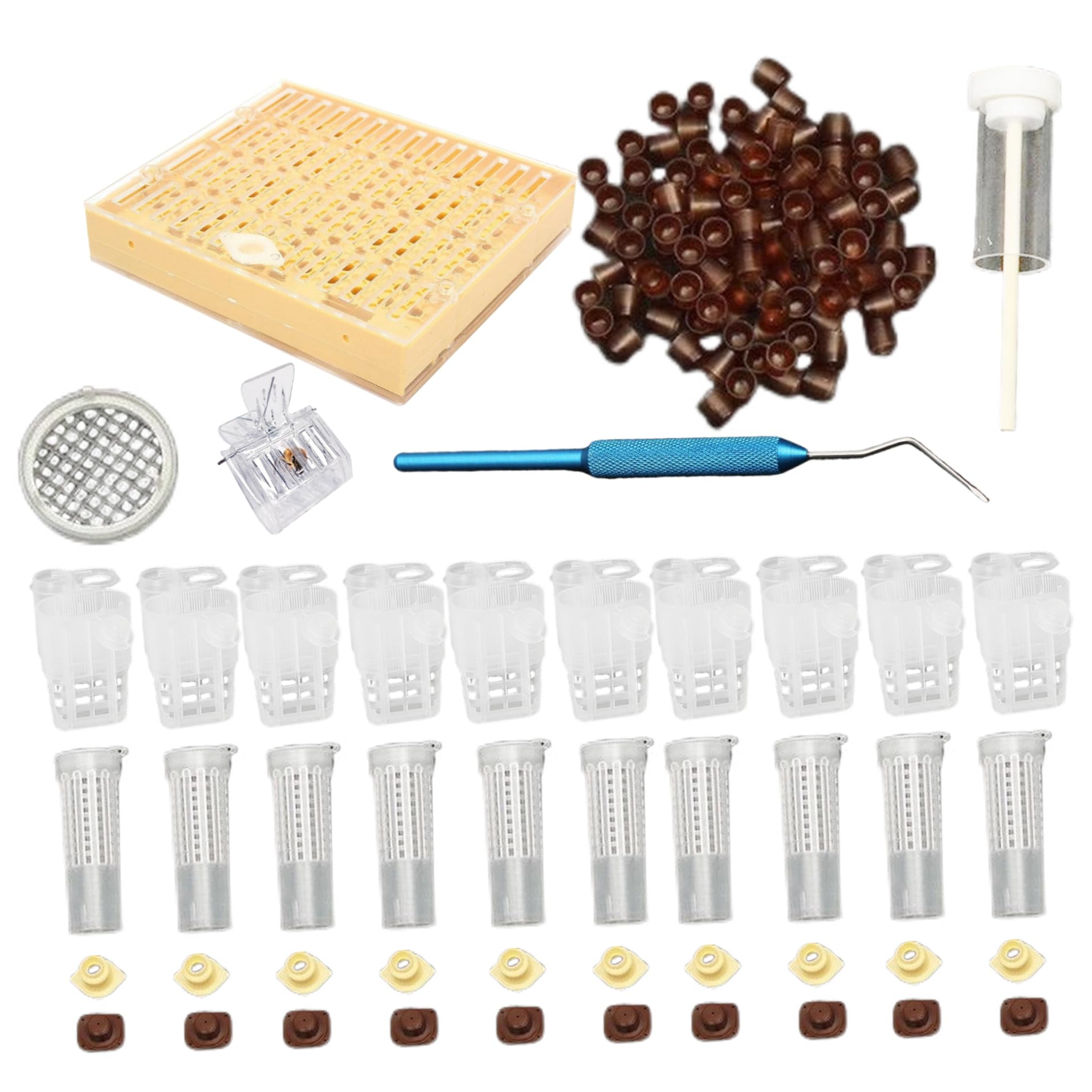 Bienenzucht-Starter-Set, Königin-Aufzucht-Set, komplettes Bienenzucht-Starter-, einschließlich Königin-Aufzuchtbox, Zellbechern und beweglichem Veredelungswerkzeug-Ausschluss